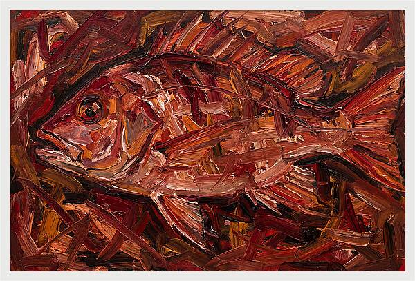 Snapper In Expressionist Style