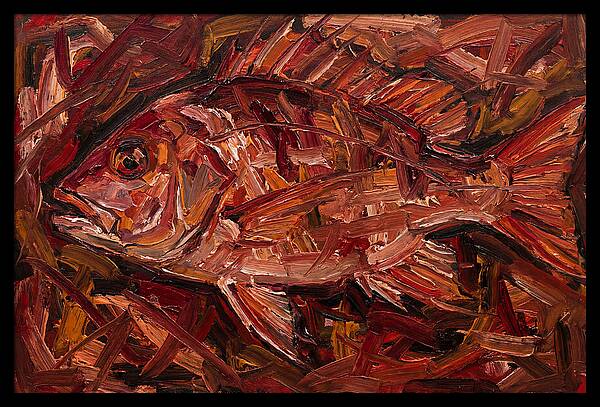 Snapper In Expressionist Style