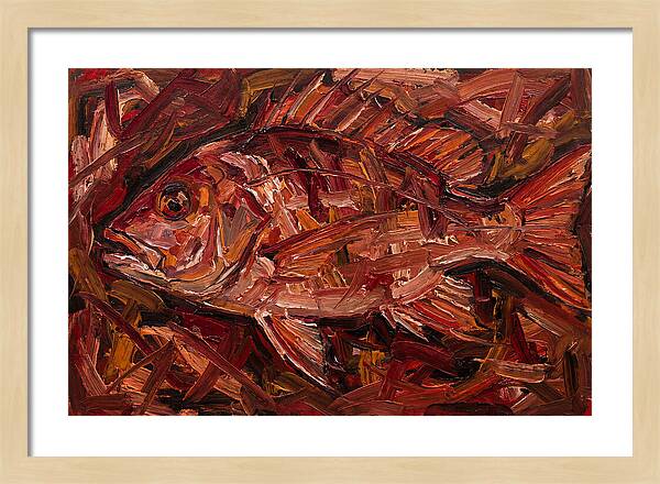Snapper In Expressionist Style