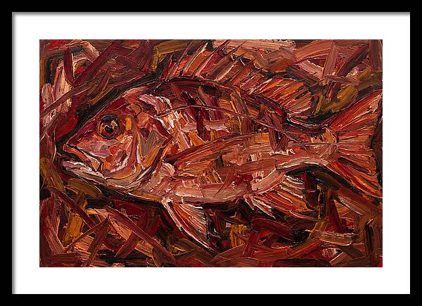 Snapper In Expressionist Style