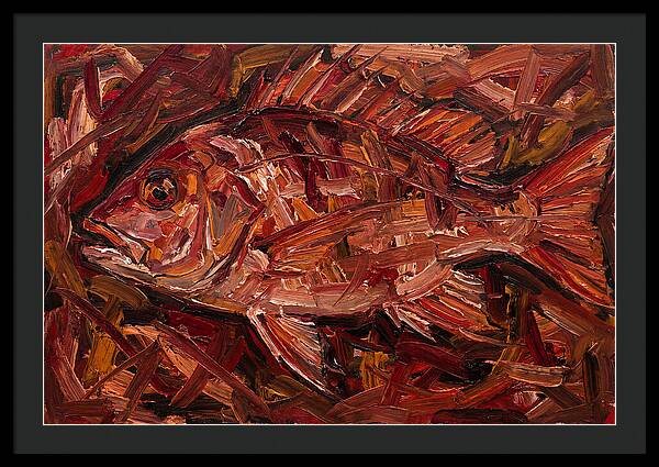 Snapper In Expressionist Style