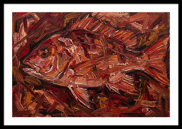 Snapper In Expressionist Style