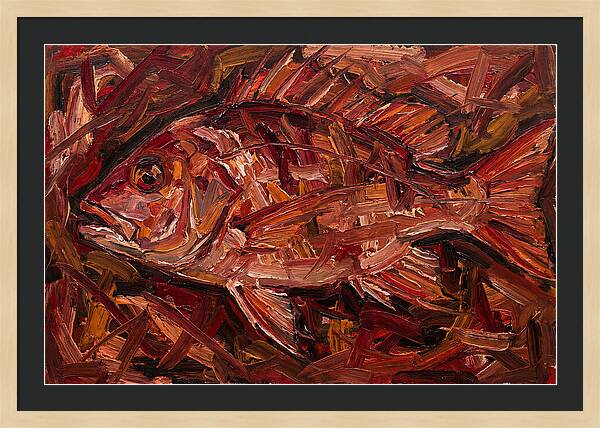 Snapper In Expressionist Style