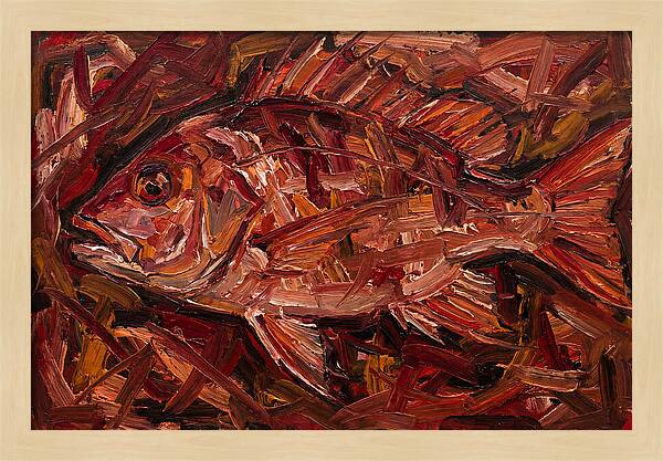 Snapper In Expressionist Style