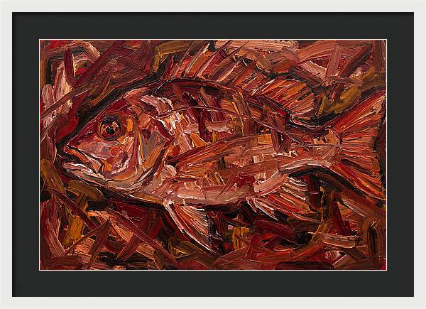 Snapper In Expressionist Style