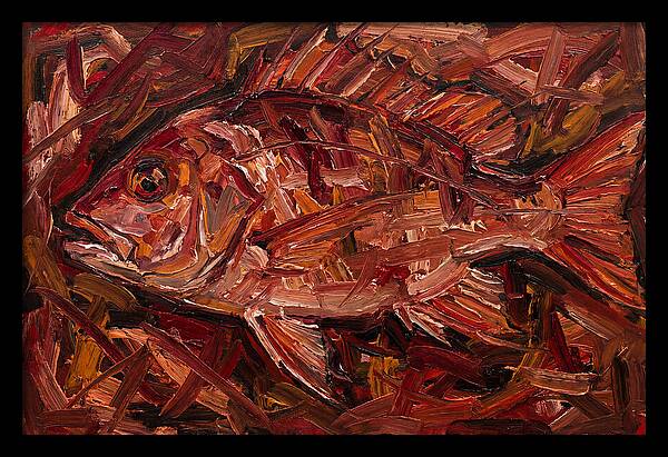 Snapper In Expressionist Style