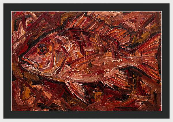 Snapper In Expressionist Style