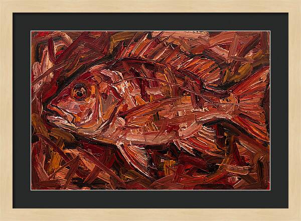 Snapper In Expressionist Style