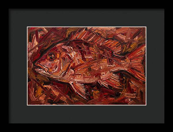 Snapper In Expressionist Style