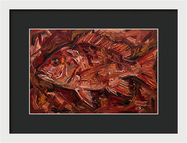 Snapper In Expressionist Style