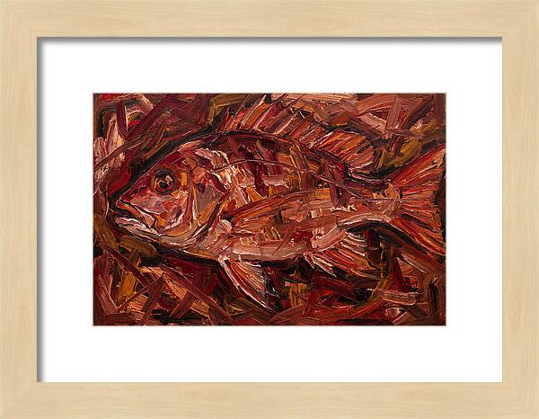Snapper In Expressionist Style