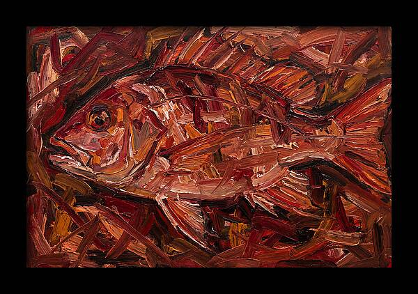 Snapper In Expressionist Style