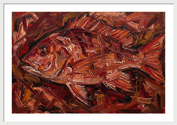 Snapper In Expressionist Style