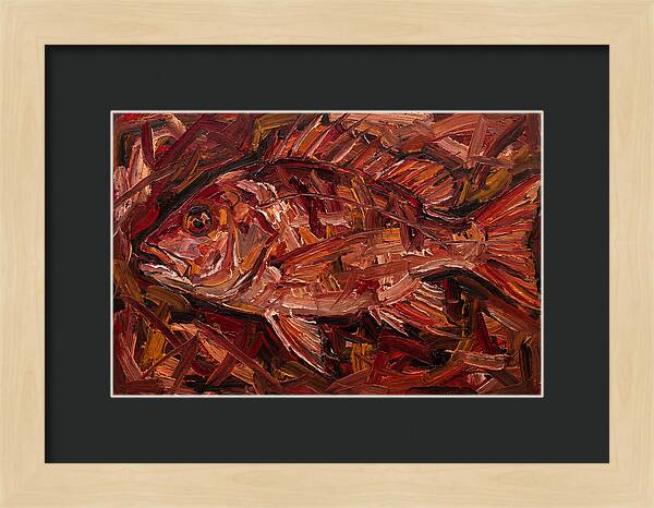 Snapper In Expressionist Style