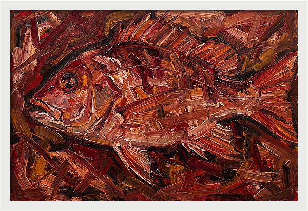 Snapper In Expressionist Style