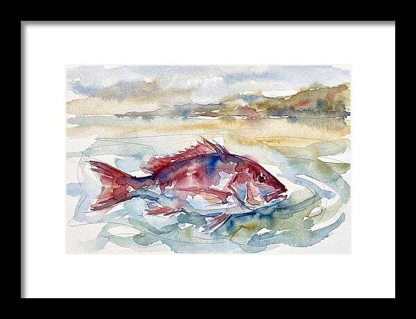 Snapper Swimming In Serenity