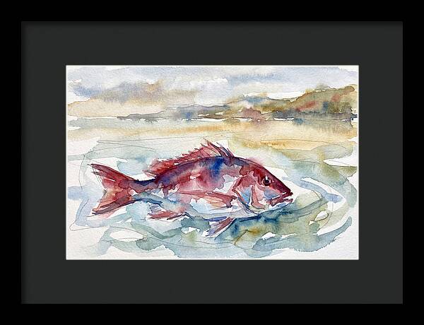 Snapper Swimming In Serenity