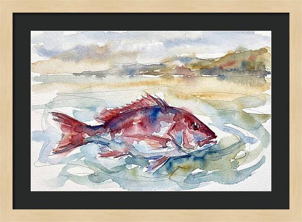 Snapper Swimming In Serenity