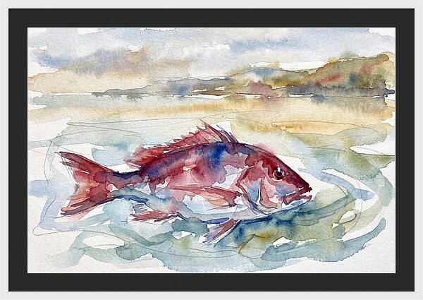 Snapper Swimming In Serenity