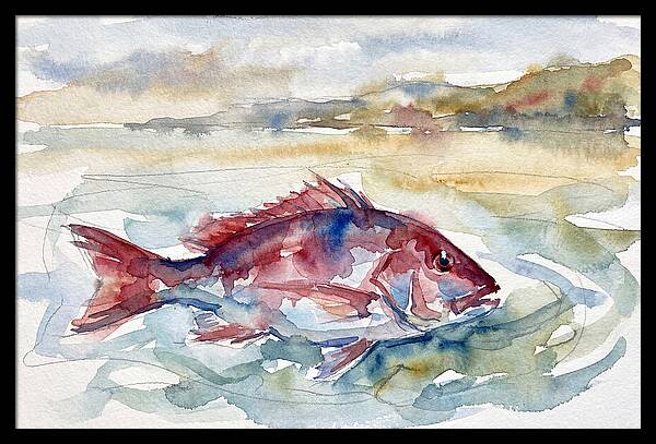 Snapper Swimming In Serenity