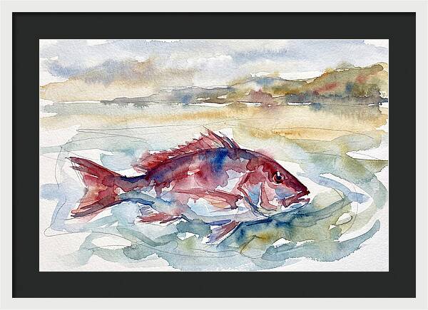 Snapper Swimming In Serenity