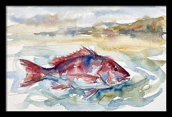 Snapper Swimming In Serenity