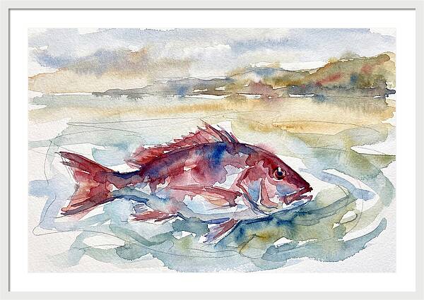 Snapper Swimming In Serenity