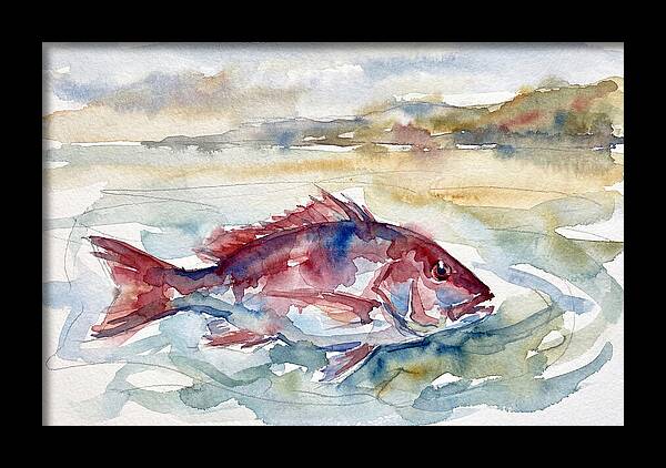 Snapper Swimming In Serenity
