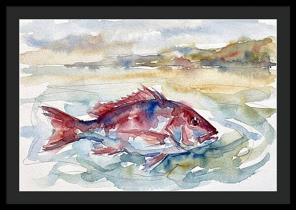 Snapper Swimming In Serenity