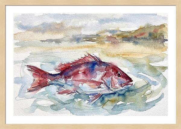 Snapper Swimming In Serenity
