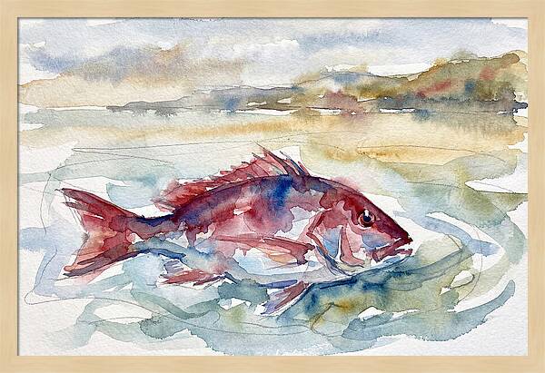 Snapper Swimming In Serenity