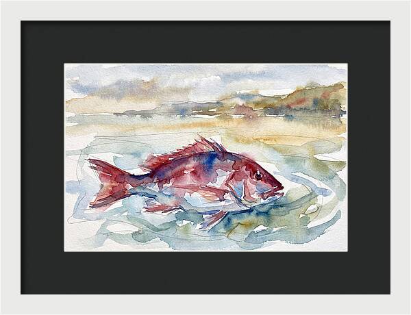 Snapper Swimming In Serenity