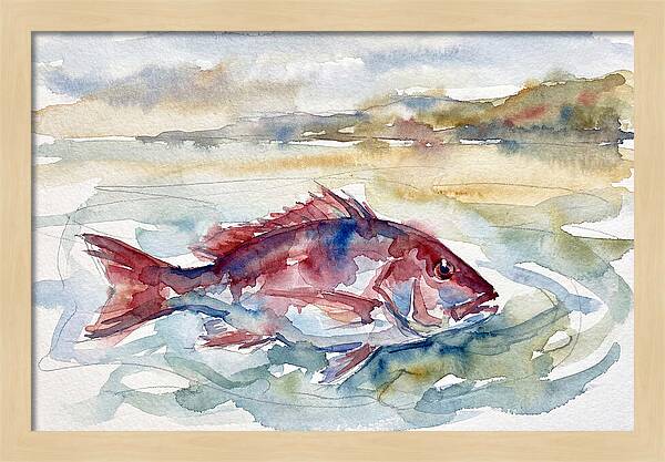 Snapper Swimming In Serenity