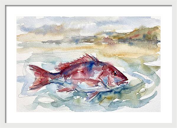Snapper Swimming In Serenity