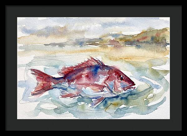 Snapper Swimming In Serenity