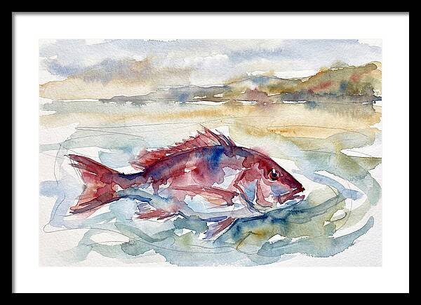 Snapper Swimming In Serenity