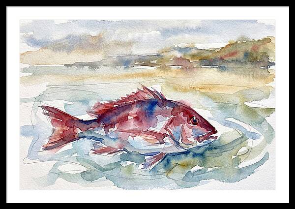 Snapper Swimming In Serenity