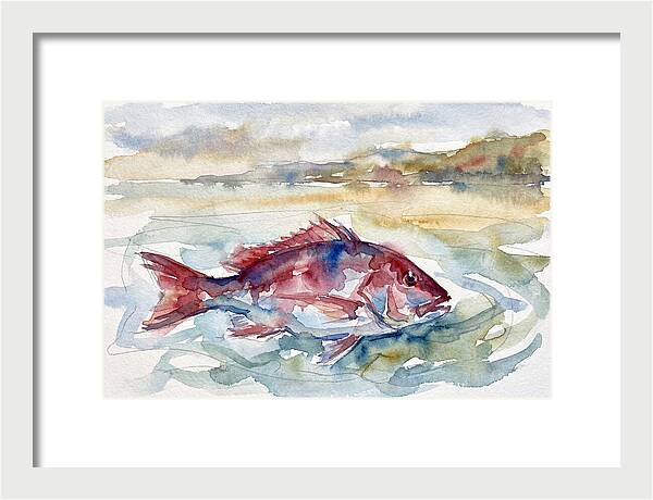 Snapper Swimming In Serenity