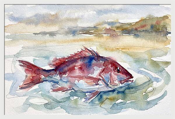 Snapper Swimming In Serenity