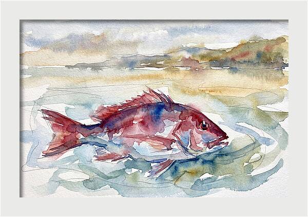 Snapper Swimming In Serenity