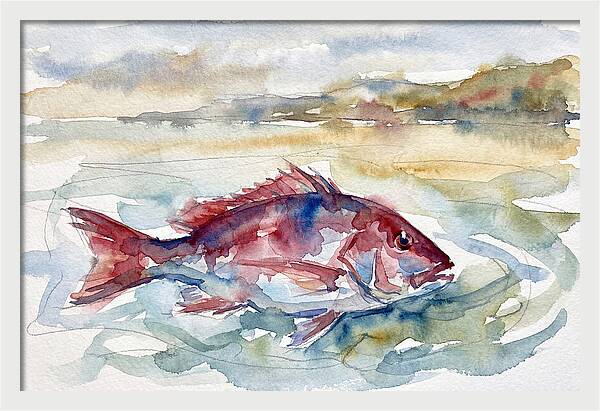 Snapper Swimming In Serenity