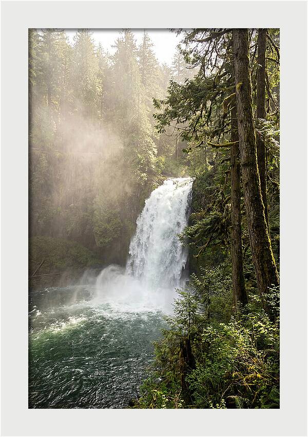 Snoqualmie Falls Serenity
