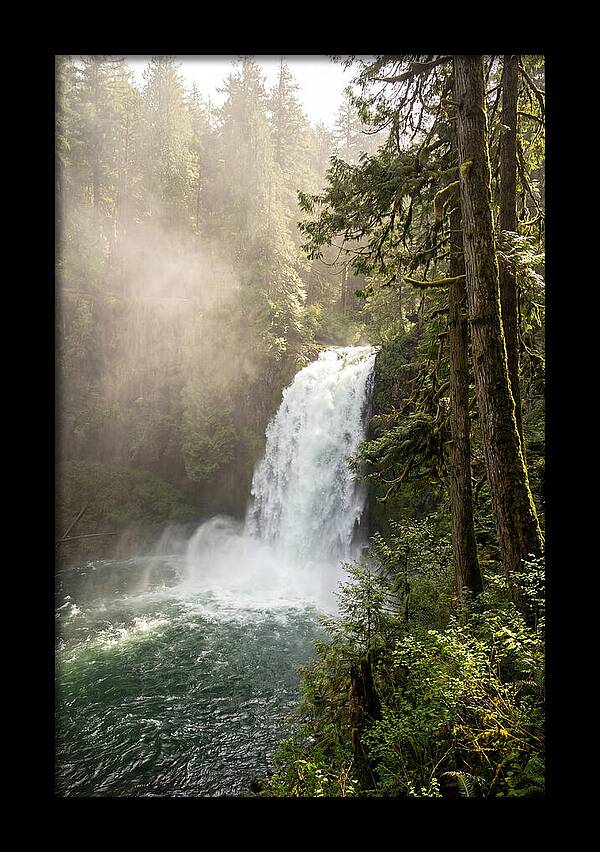 Snoqualmie Falls Serenity