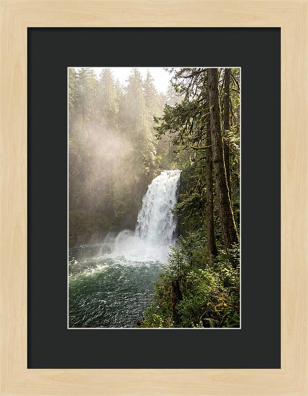 Snoqualmie Falls Serenity