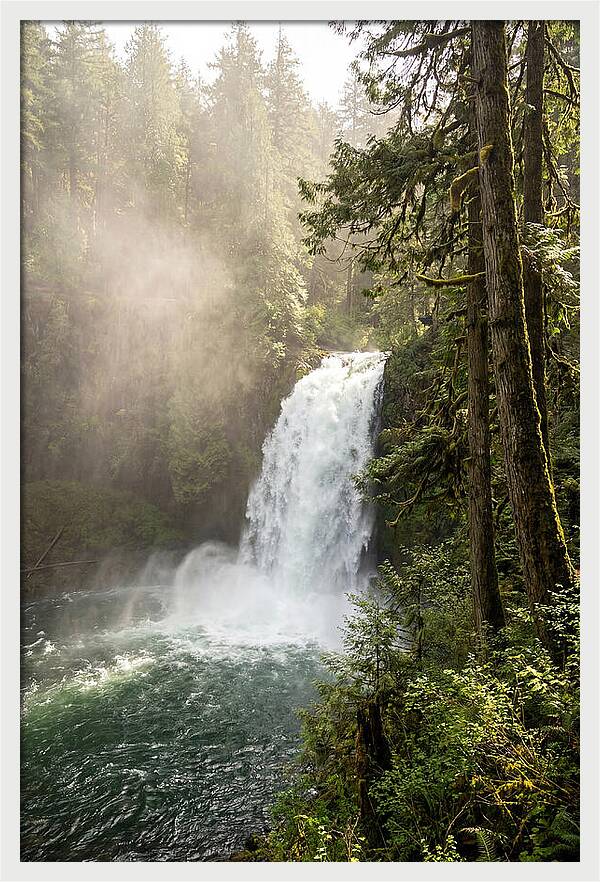 Snoqualmie Falls Serenity