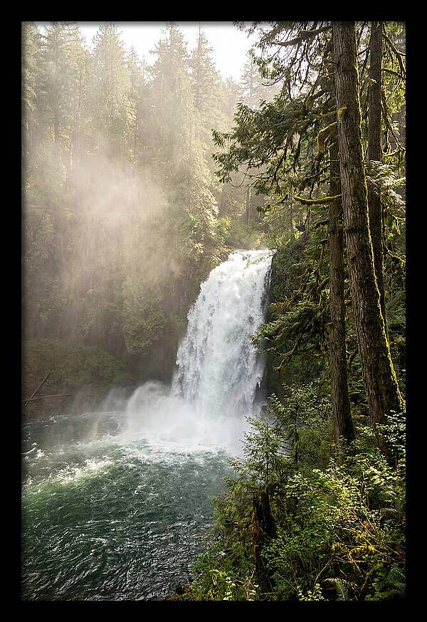 Snoqualmie Falls Serenity