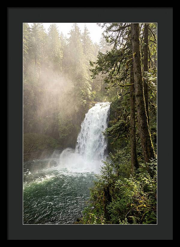 Snoqualmie Falls Serenity