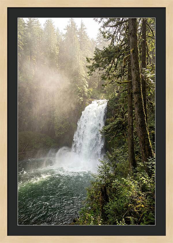 Snoqualmie Falls Serenity