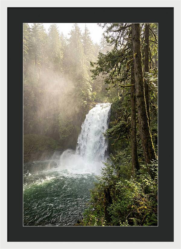 Snoqualmie Falls Serenity