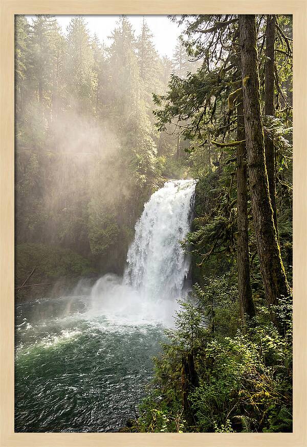 Snoqualmie Falls Serenity